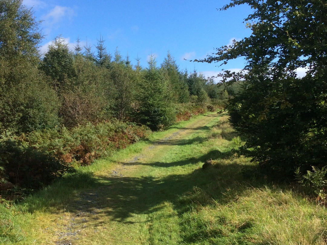 Galloway Forest Park-Galloway Forest Park必去景点