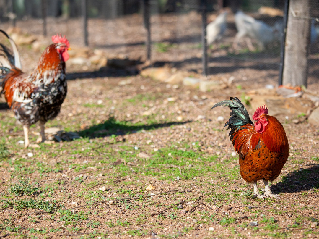 Vleidam Guest Farm主图