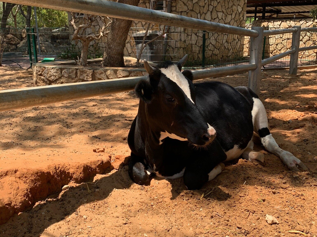 Hai-Kef-Rishon Lezion必去景点