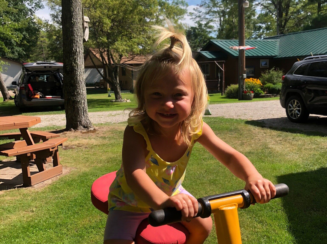 Driftwood Resort主图