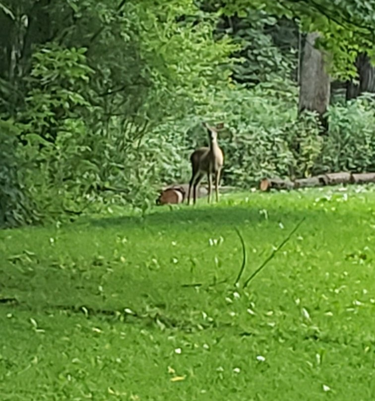 The Safe House Bed and Breakfast主图