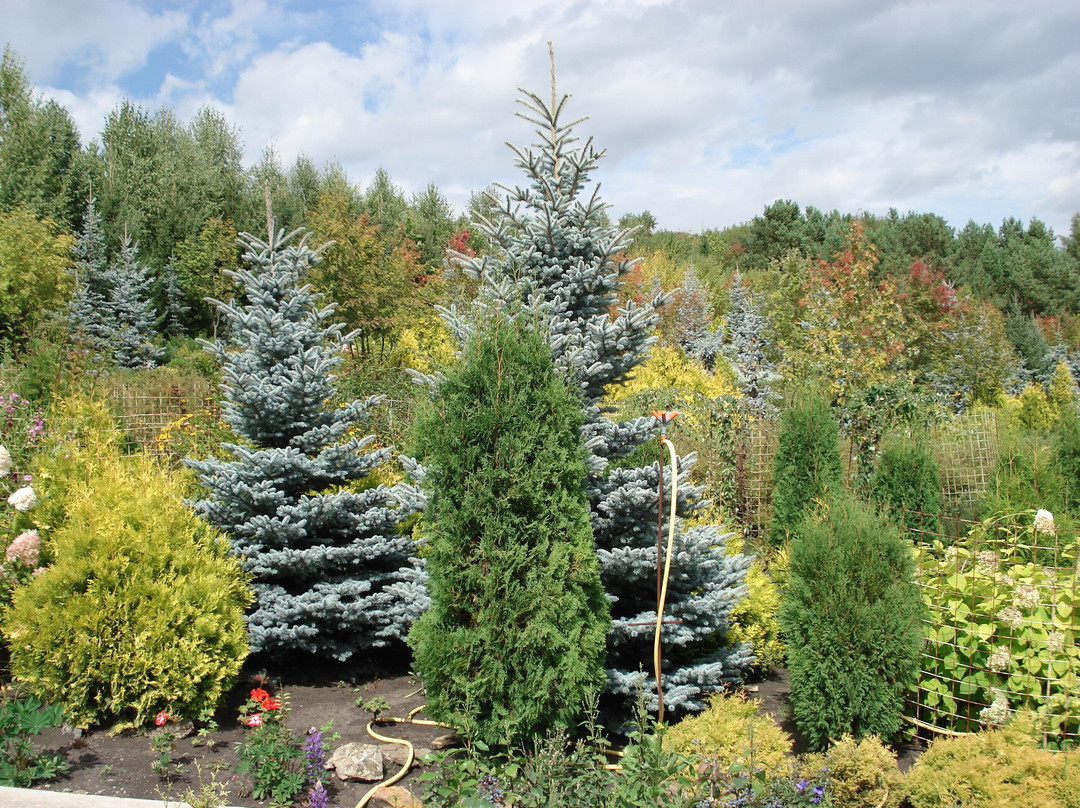Blooming Valley Arboretum-Altaiskoye必去景点