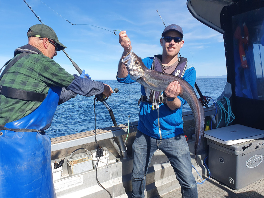 The Rodfather Fishing Charters-Kaikoura必去景点