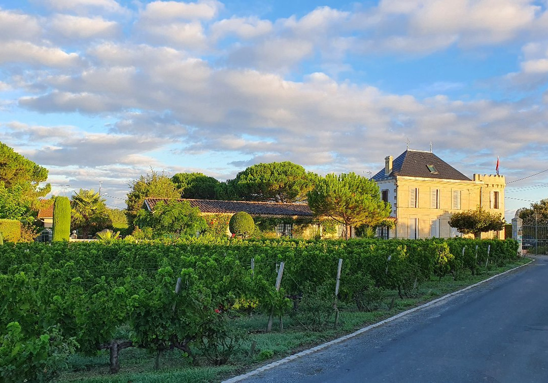 Le Moulin en Medoc主图