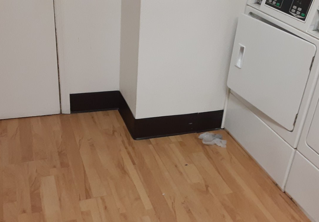 Welcome Suites Springdale主图