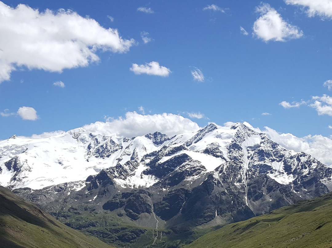 Monte Cevedale景点图片