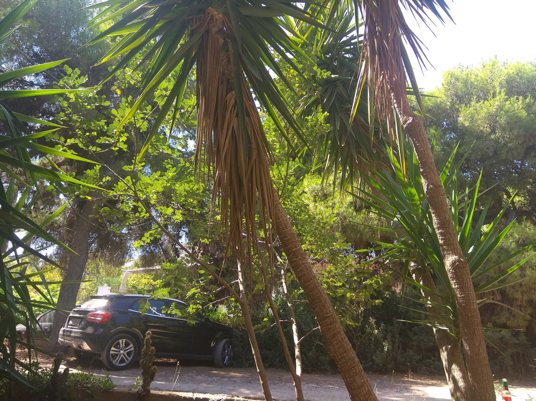 The Delfini Hotel主图