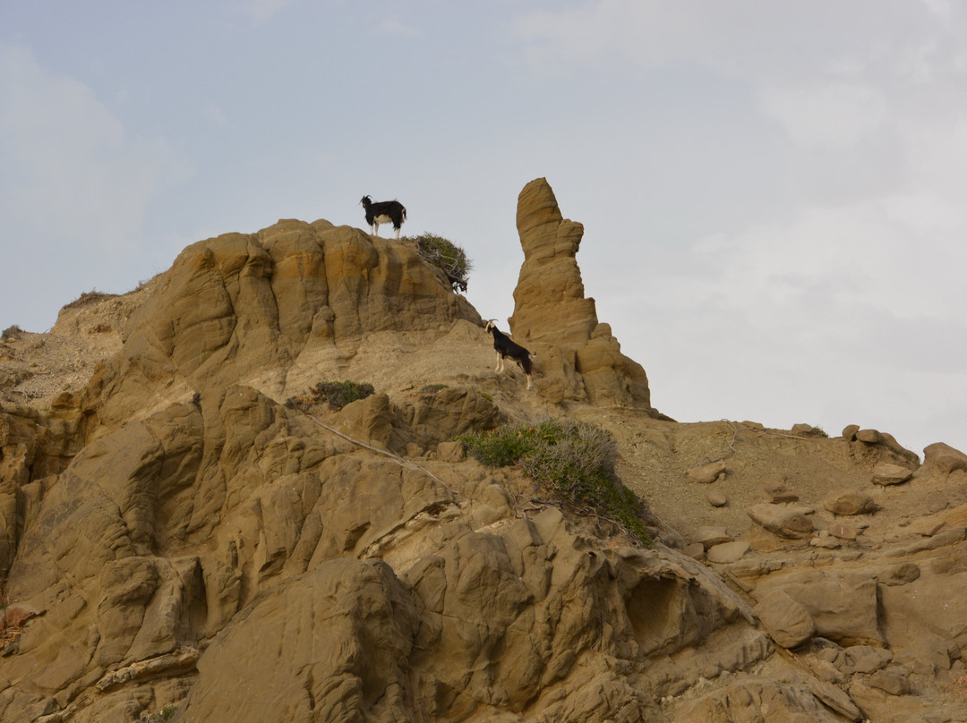 Thari Monastery-Laerma必去景点