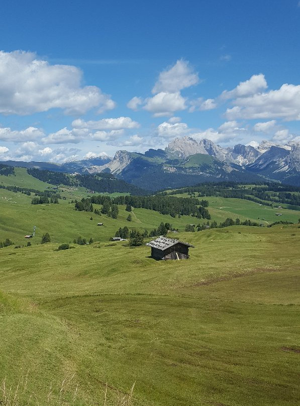 Alpe di Siusi - Seiser Alm Bahn景点图片