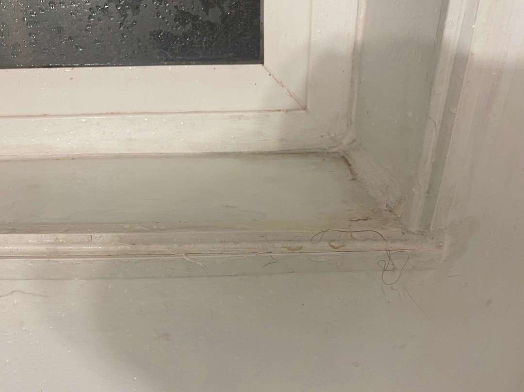 Oyo Silver Spur Burns Hwy 20主图