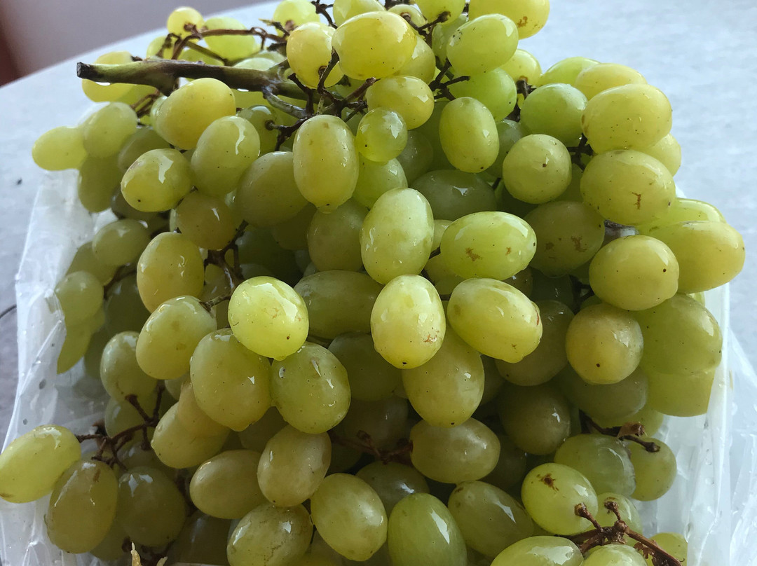 Marianna House主图