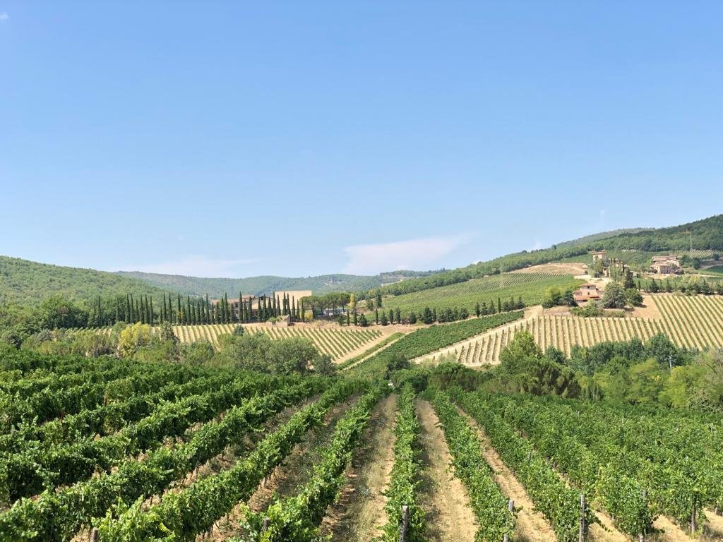 Strada Statale 222 Chiantigiana-锡耶纳必去景点