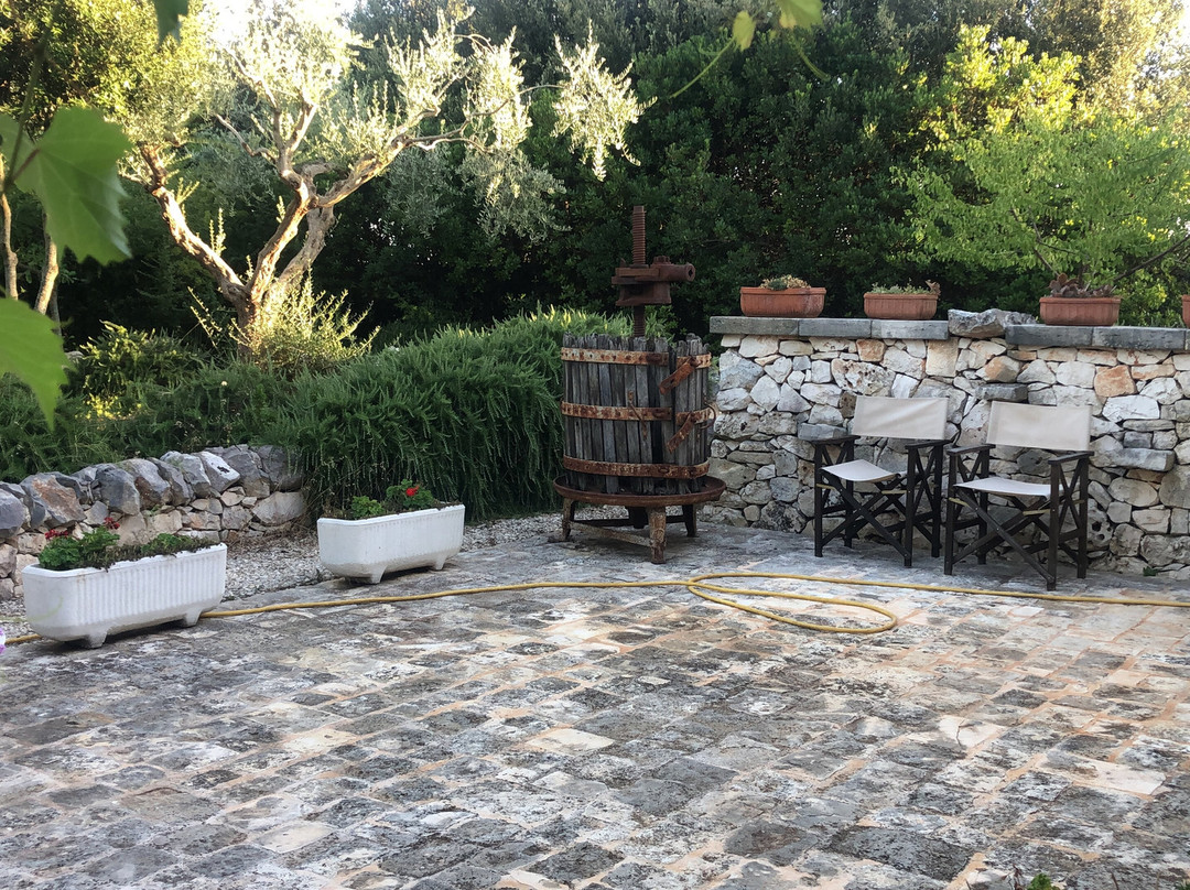 Trulli Gallo Rosso主图