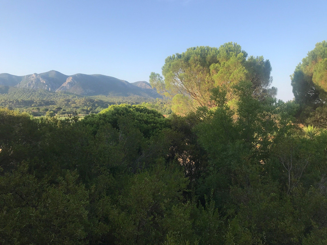 Hotel Golfo del Leone主图