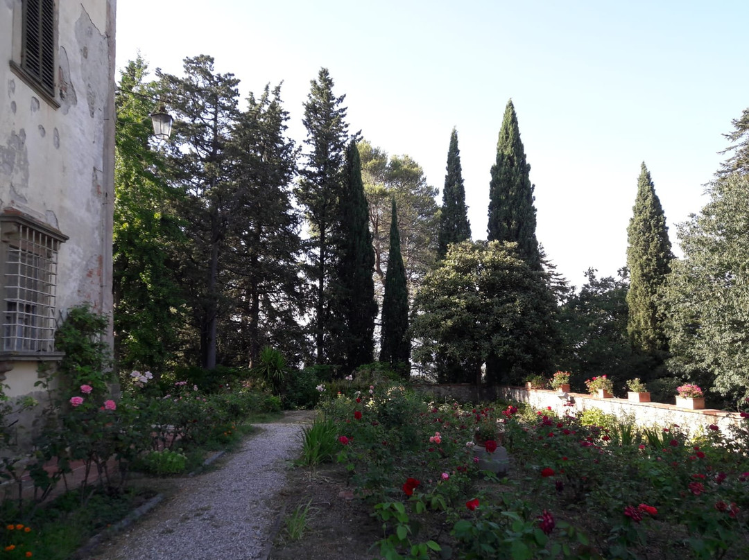 Tenuta di Capezzana主图