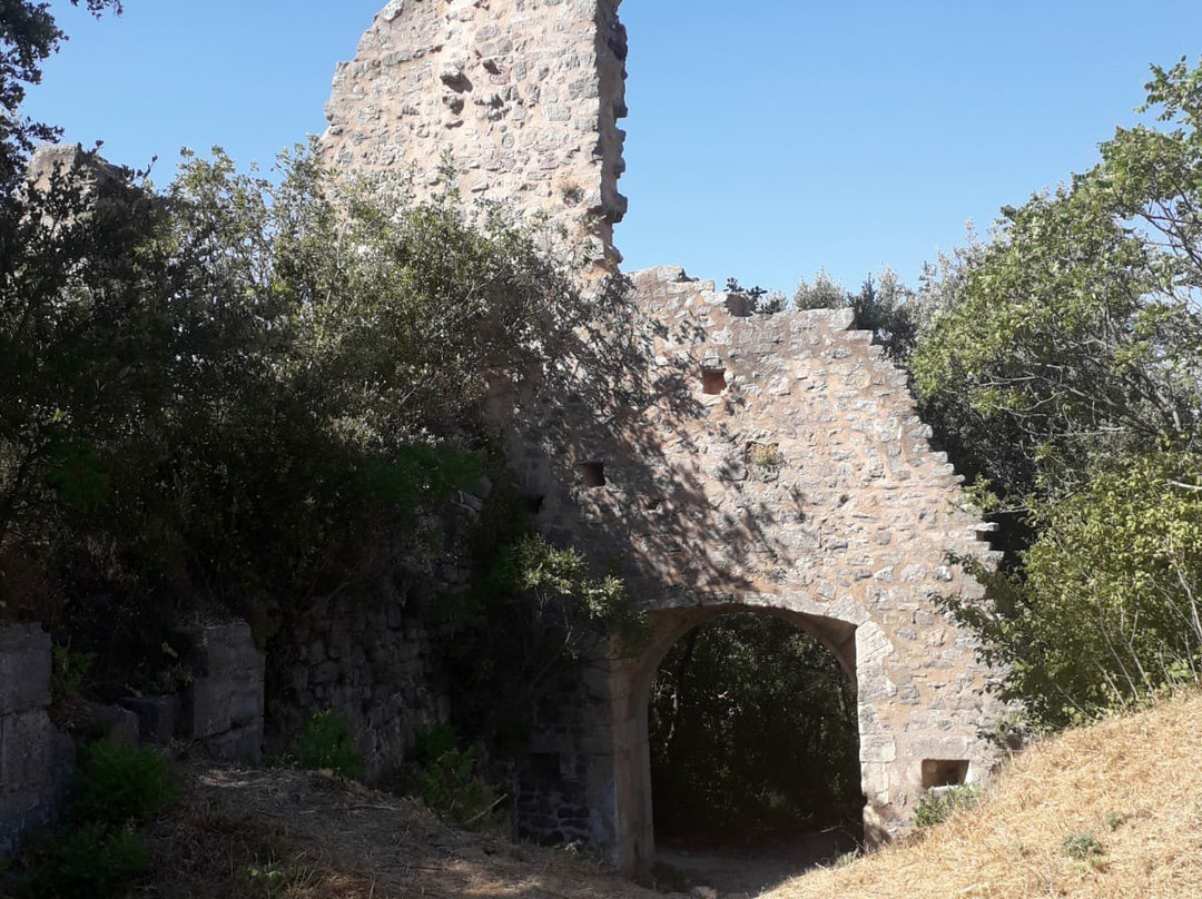 Chateau de Valbelle景点图片