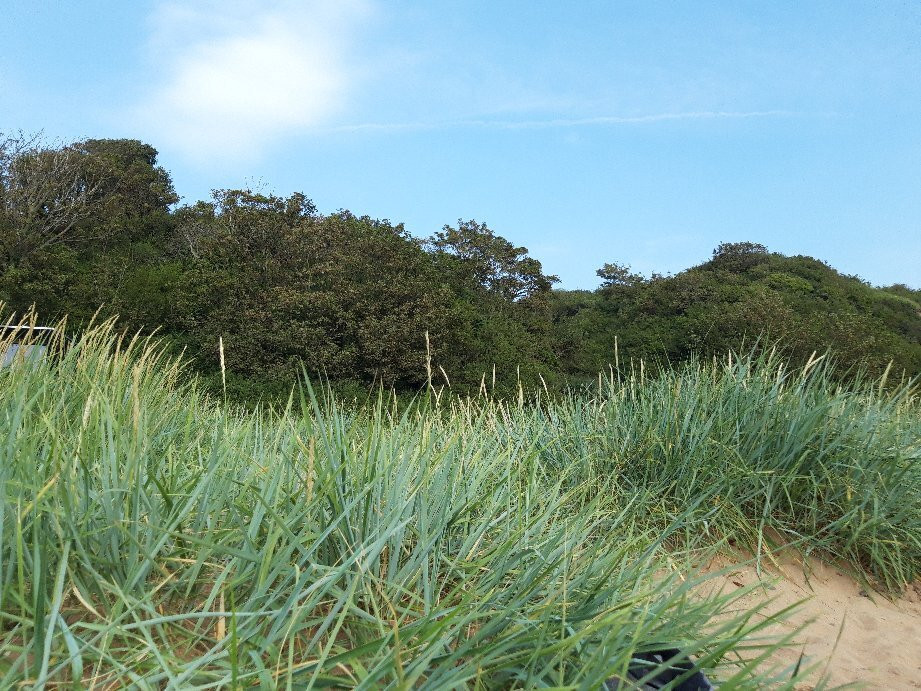 Wirral Country Park-Thurstaston必去景点