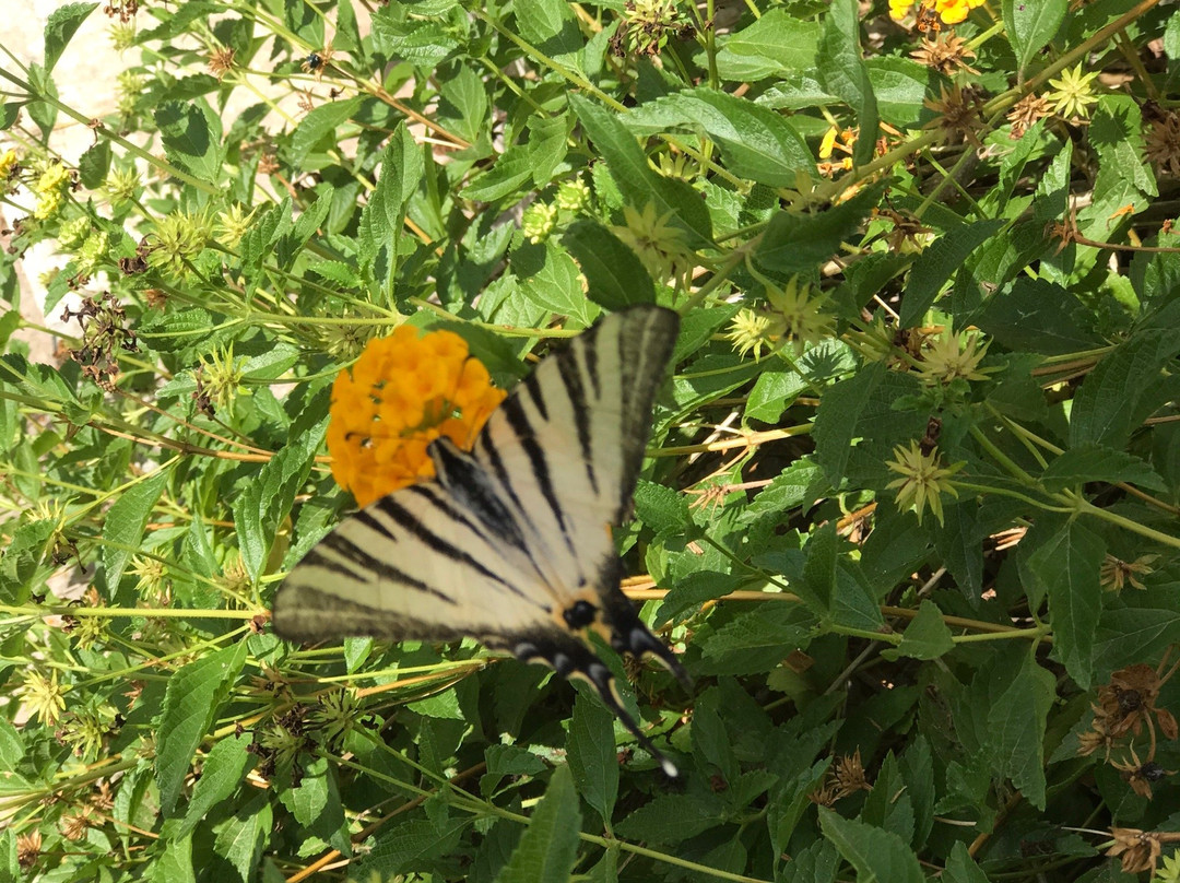 B&B Villa Marciante主图