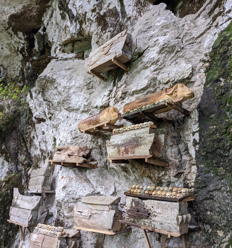 Kete Kesu Village景点图片