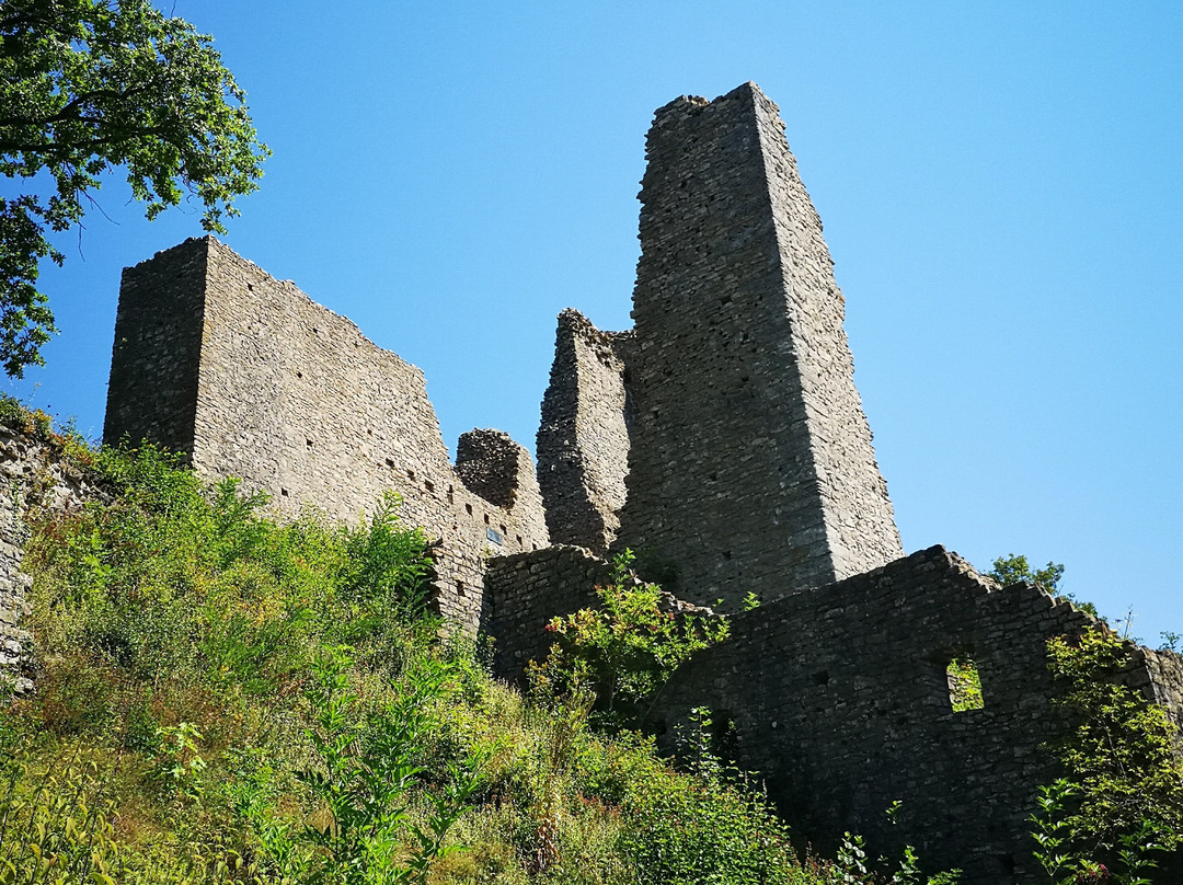 Burgruine Schenkenberg-Thalheim必去景点
