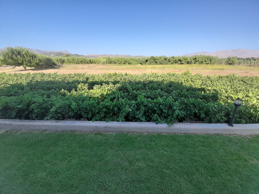 Mediterranean Hotel & Apartments主图