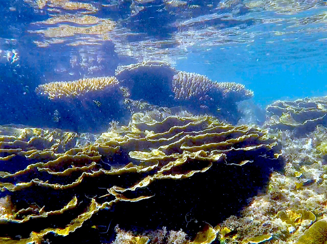 Arthur Bay-Magnetic Island必去景点