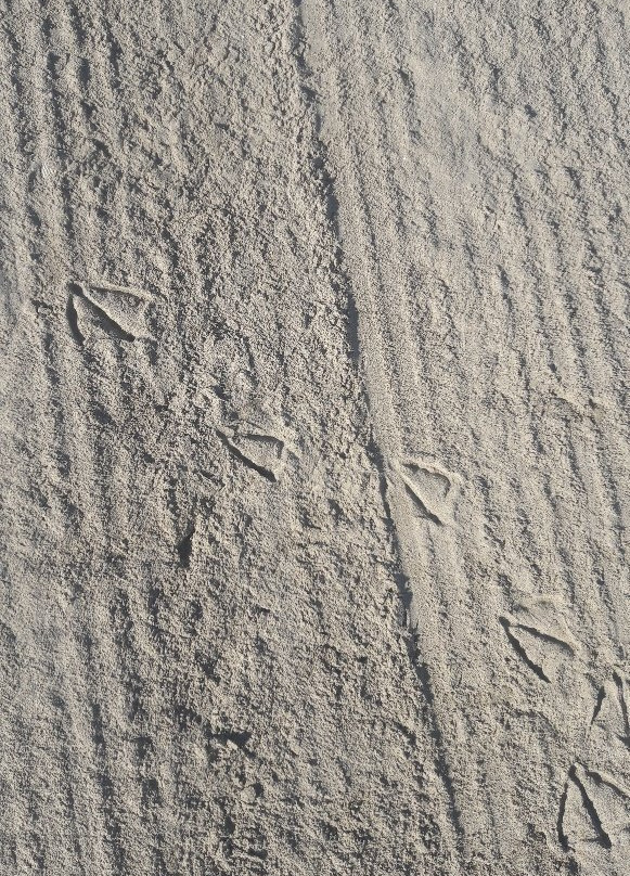Plage du centre-Carnon必去景点