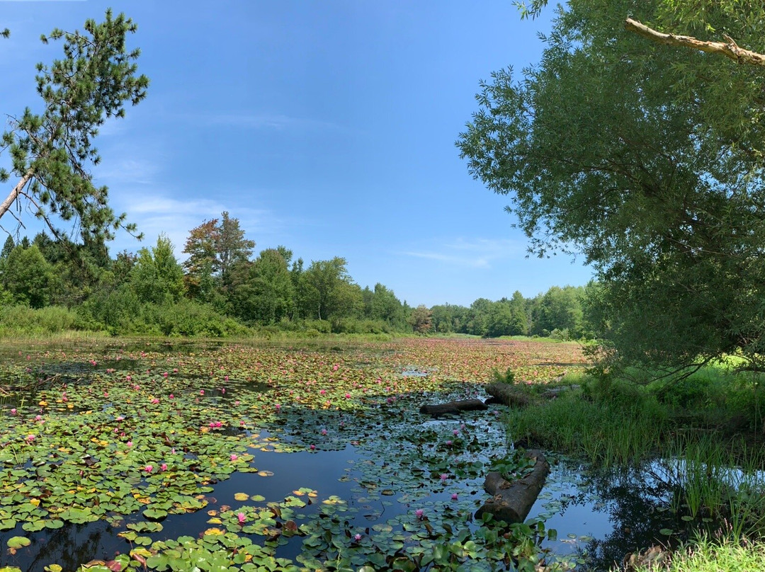 Reinstein Woods Nature Preserve景点图片