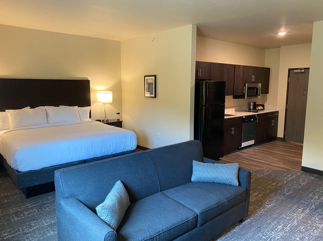 Cobblestone Inn & Suites - Forest City主图