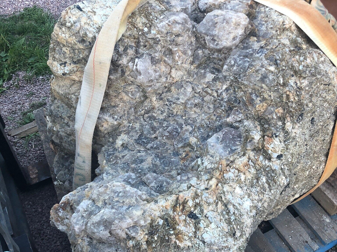 Daves Rock Shop-卡斯特必去景点