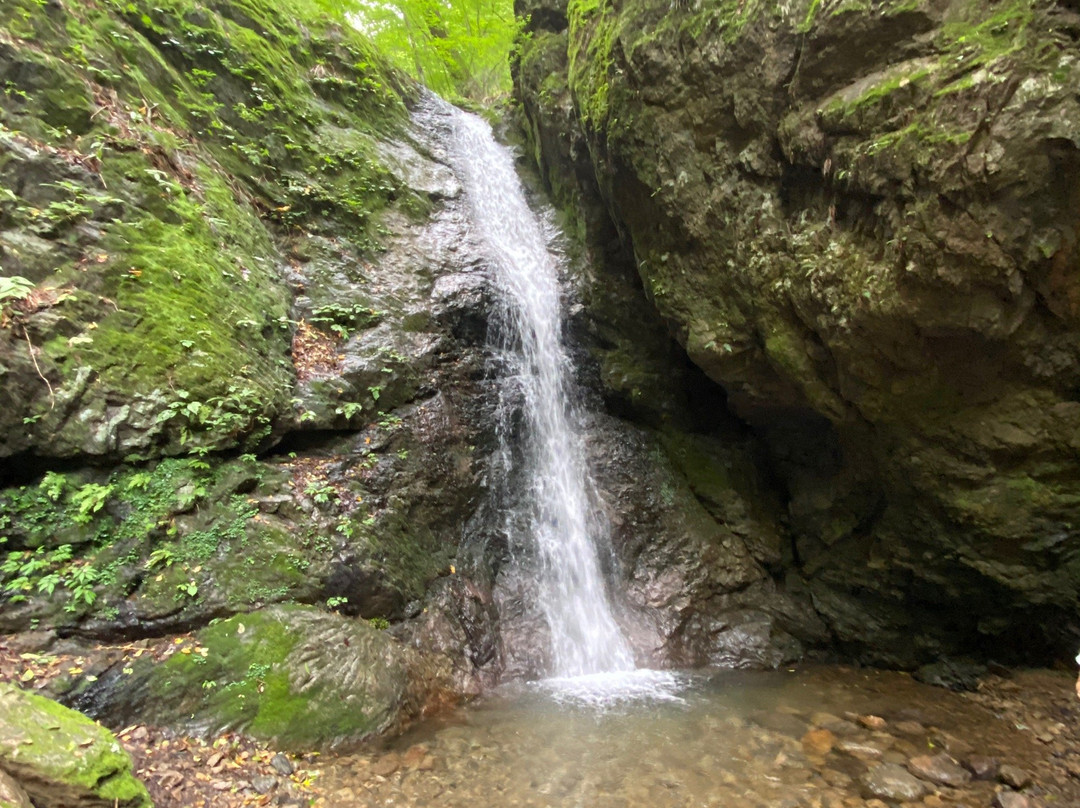 Rock Garden-青梅市必去景点