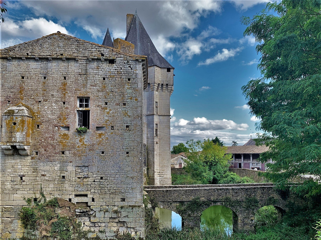 Château de Cherveux景点图片