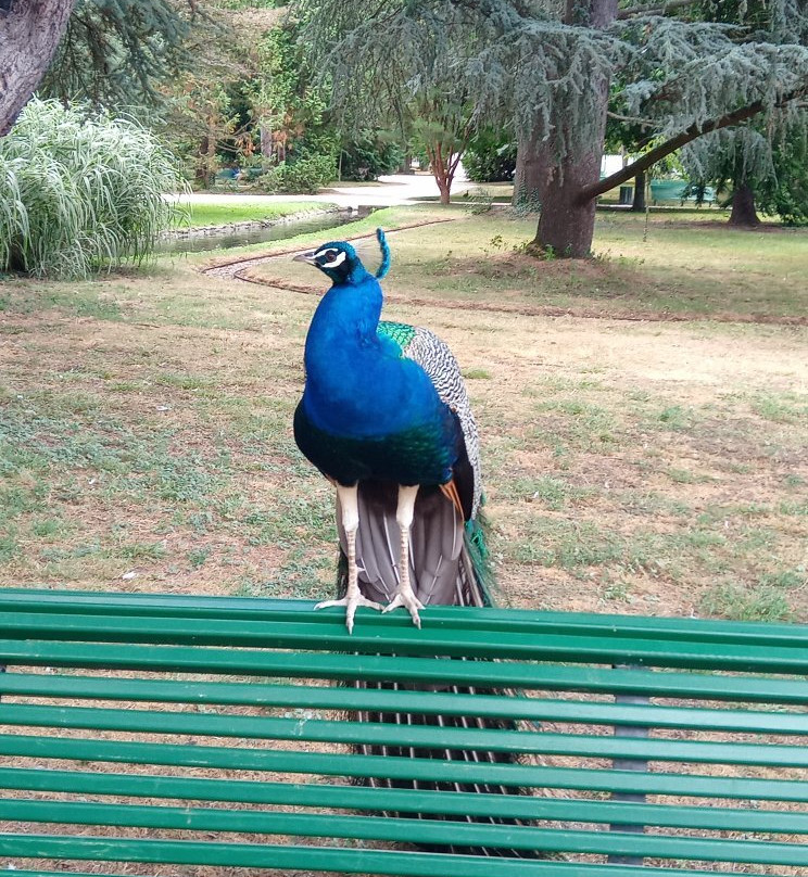 Jardin Massey-塔布必去景点