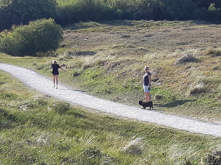 Sint Maartenszee Strand景点图片