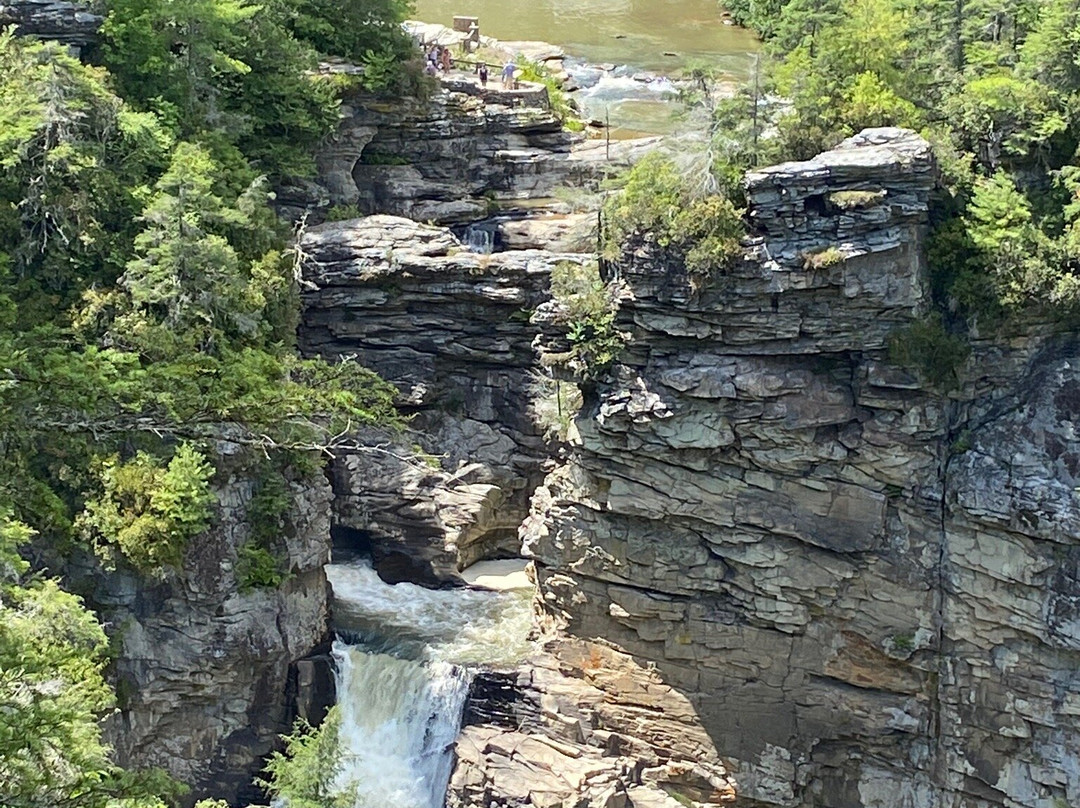 Linville Gorge Wilderness Area景点图片