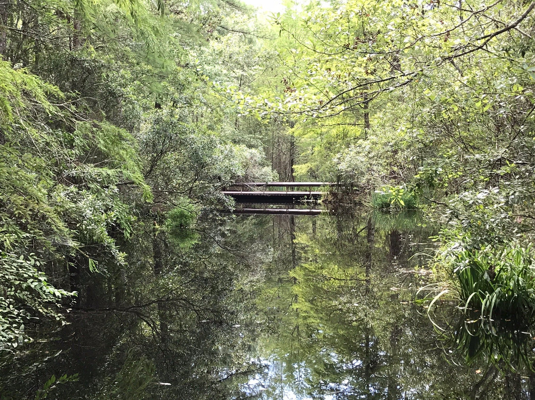 Crosby Arboretum-Picayune必去景点