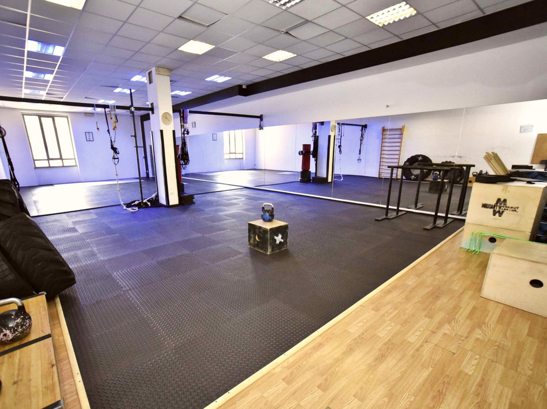 Palestra Gipoint2.0-San Giustino必去景点