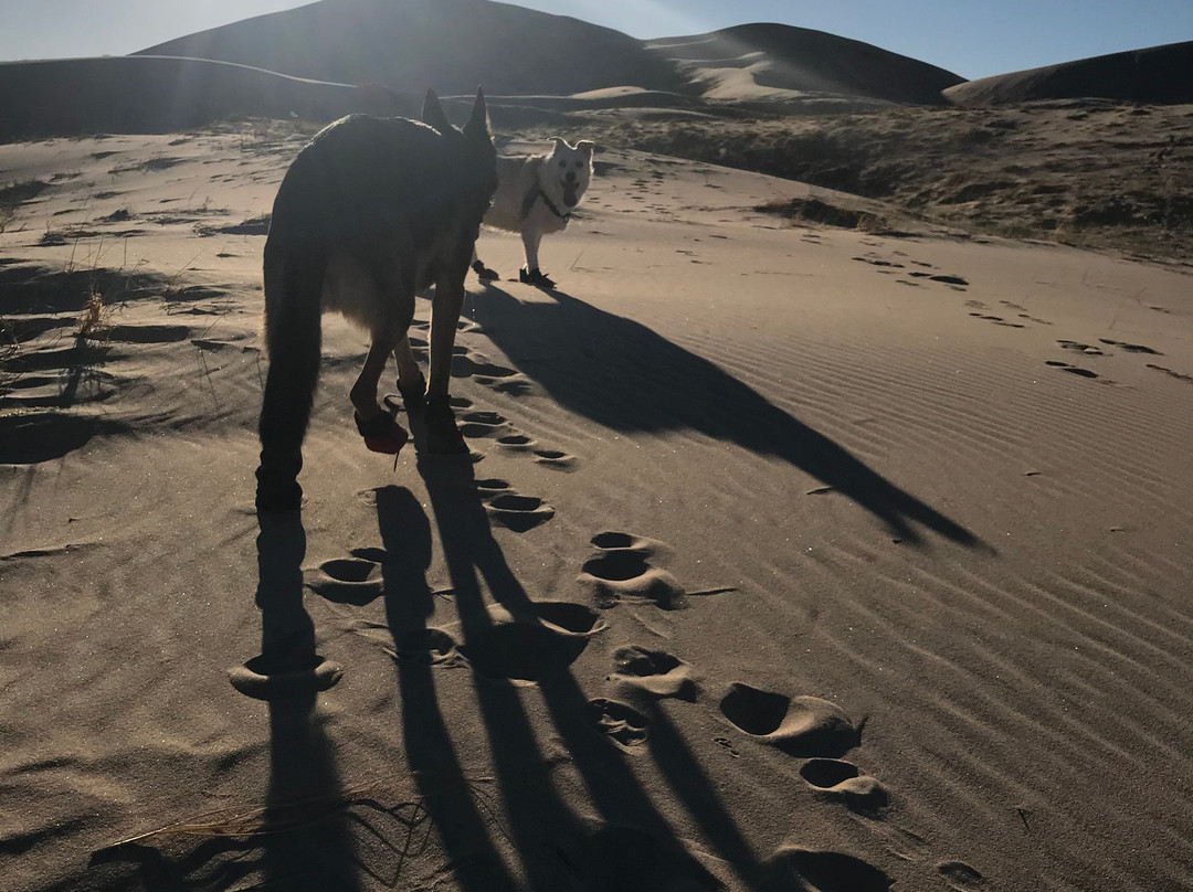 Kelso Dunes景点图片