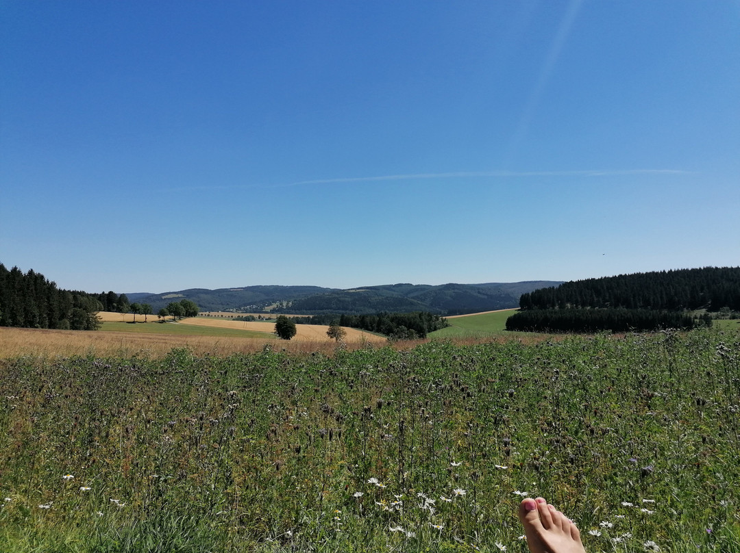 Waldhotel Kreuztanne主图