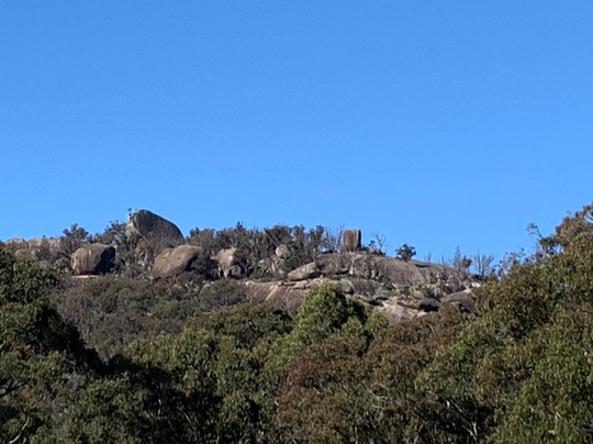 Girraween Estate Winery and Cellar Door-Wyberba必去景点