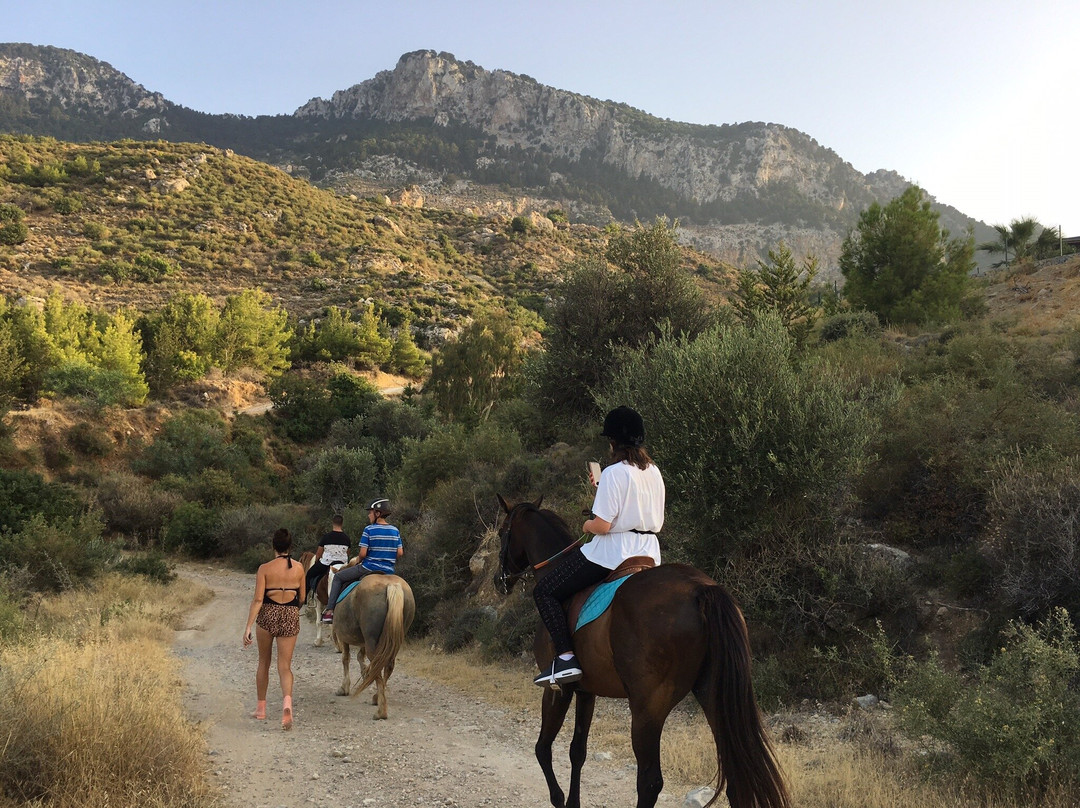 The Ranch North Cyprus景点图片