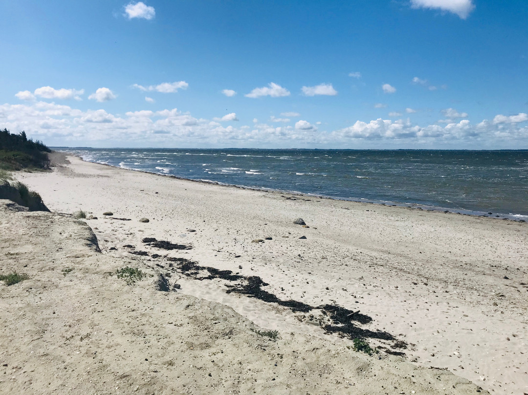 Roenbjerg Huse旅游攻略图片