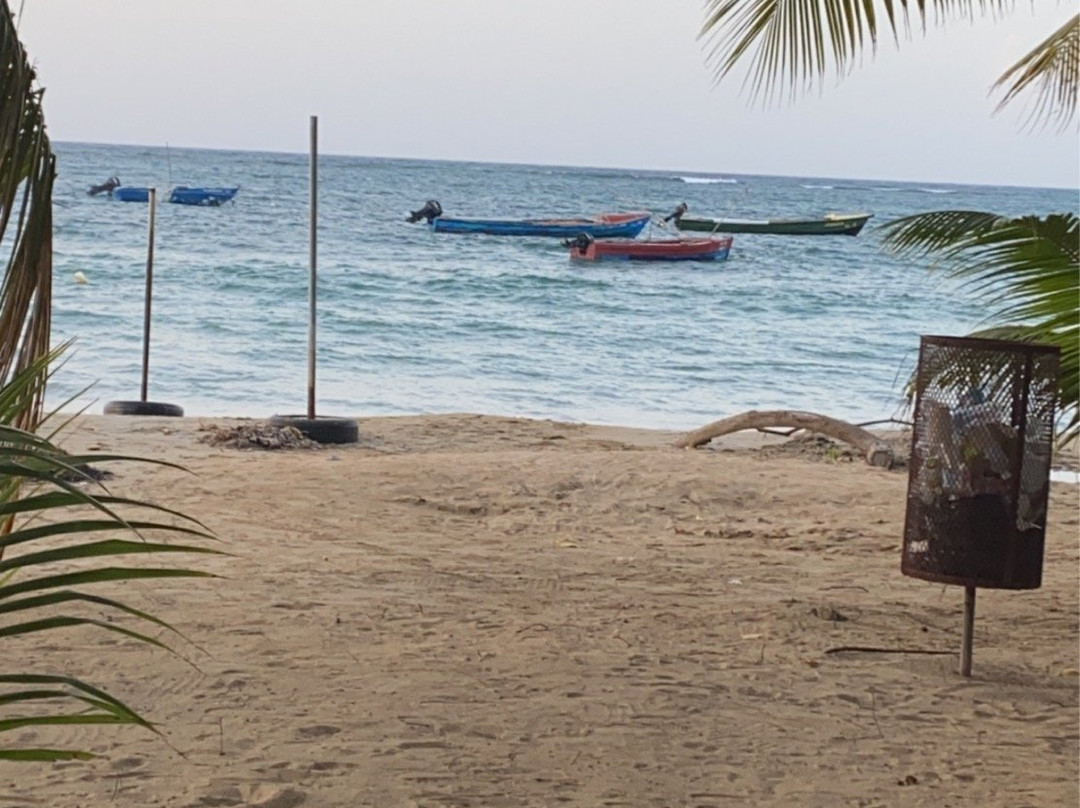 Beanland Tours-蒙特戈贝必去景点