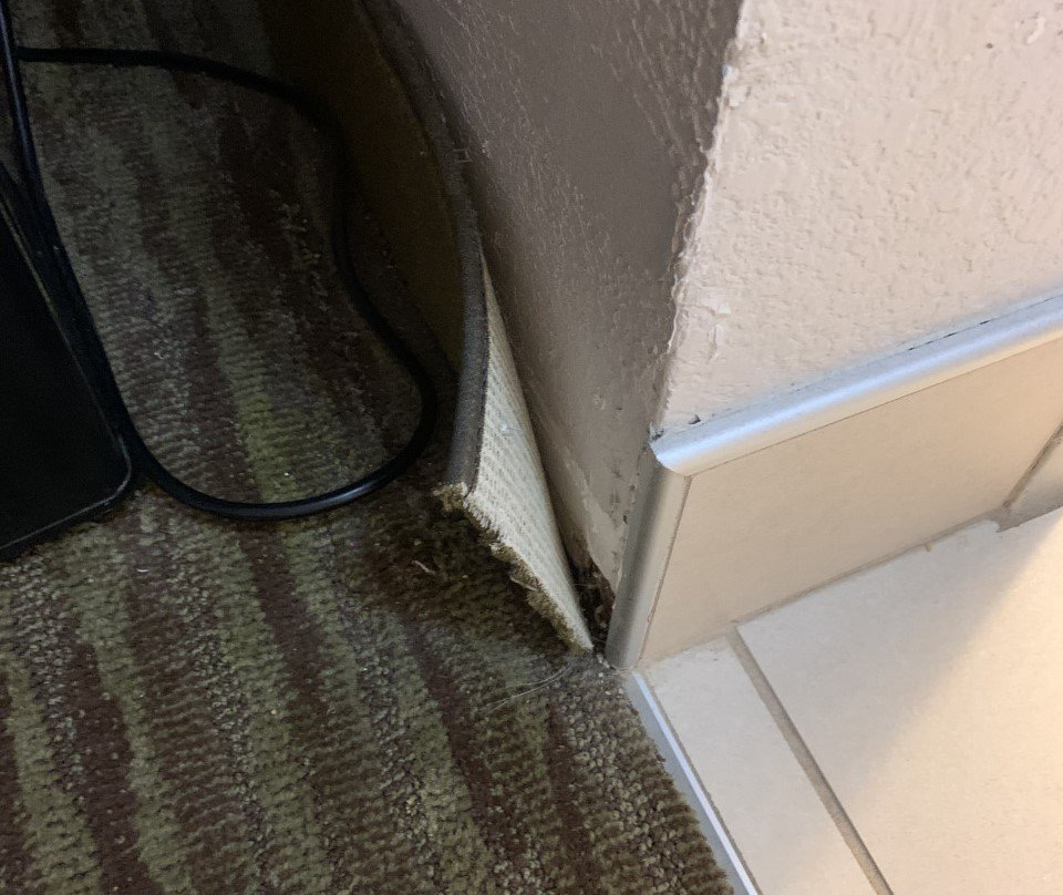 Holiday Inn Express & Suites Pikeville by IHG主图