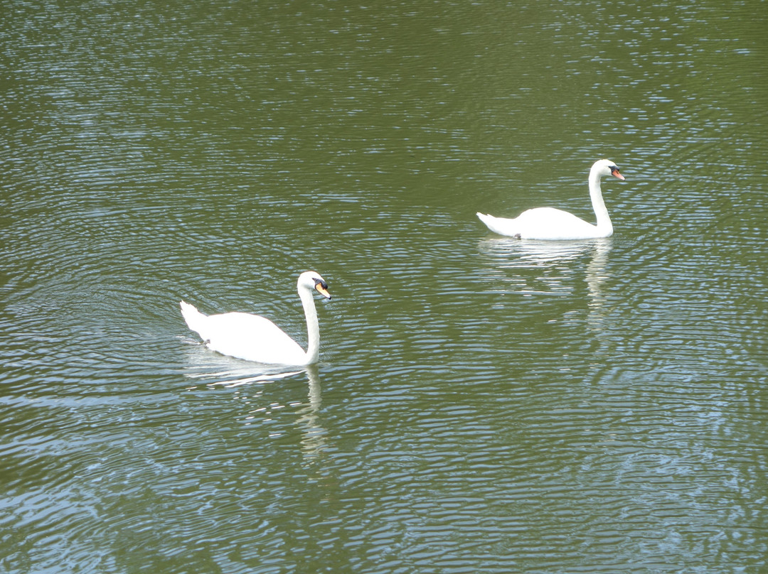 Buttermilk Falls Inn & Spa主图