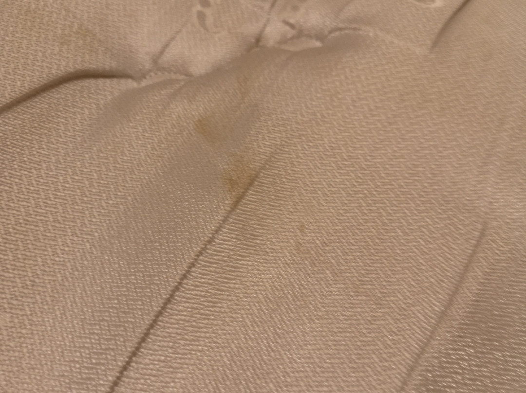 Silver Birches Resort主图