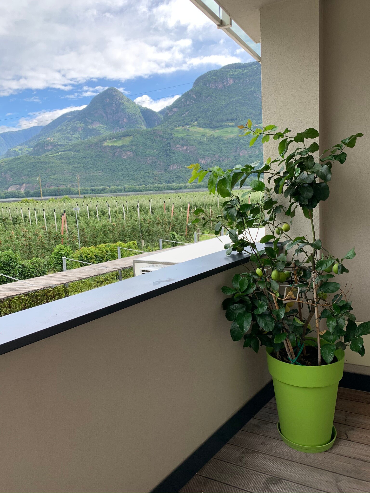 Hotel Pfeiss-酒店景观