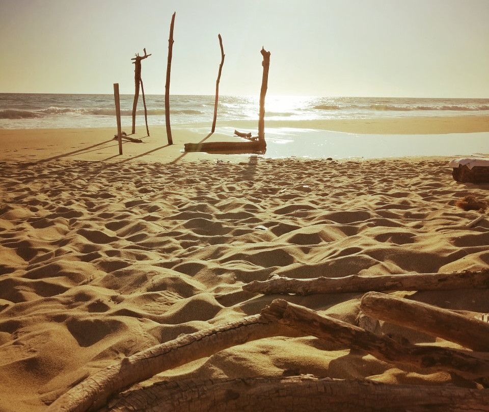 Spiaggia della Lecciona景点图片