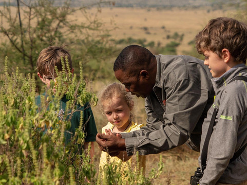 Duma Explorer-阿鲁沙必去景点