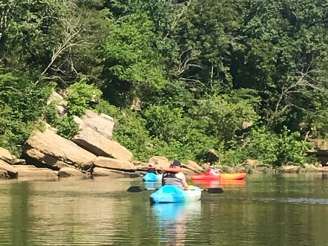 The River Rat's Canoe Rental景点图片